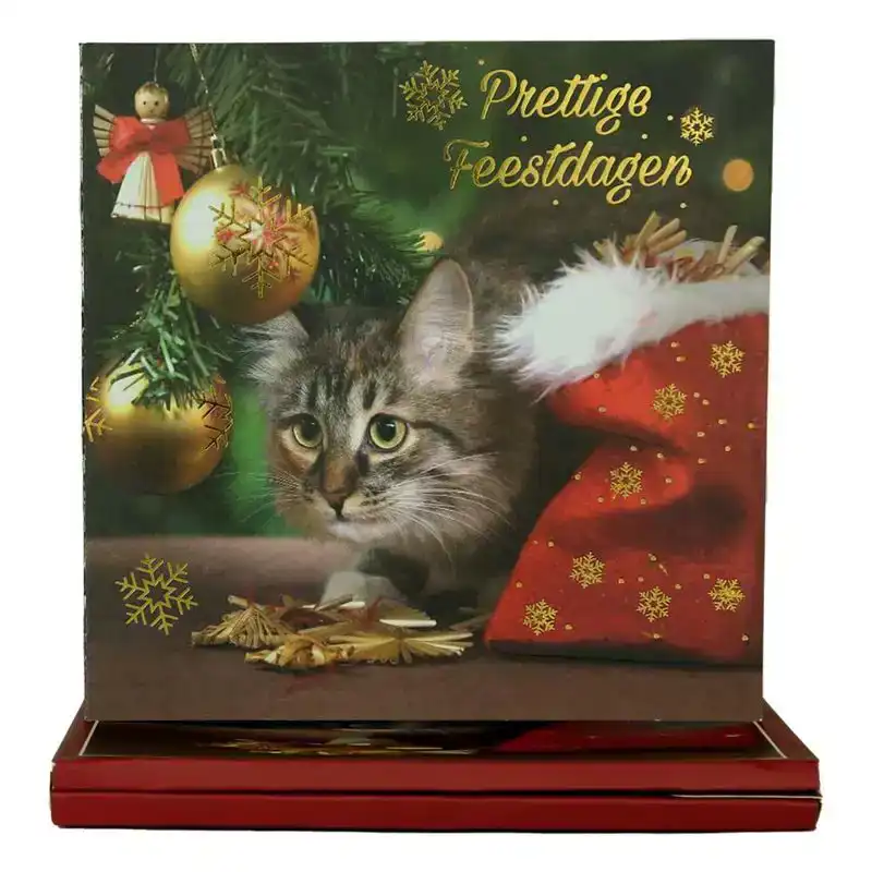 World of Craft Set van 8 Kerstkaarten en Enveloppen met Nederlandse teksten