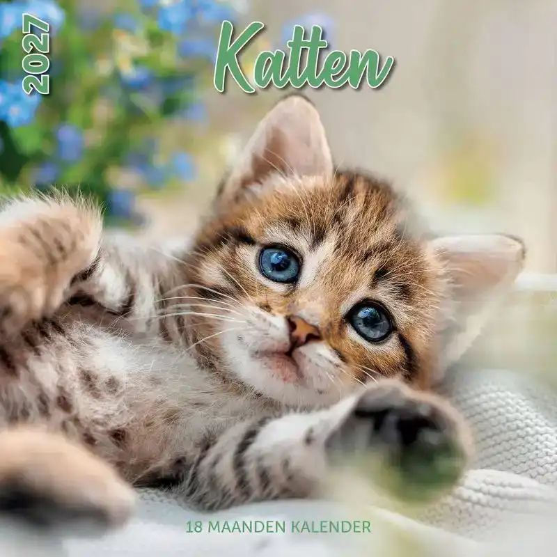 Kalender 2027: katten