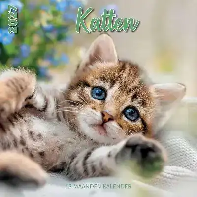 Kalender 2027: katten