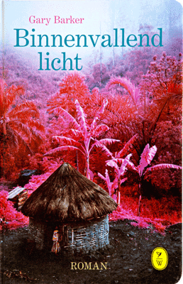 Binnenvallend licht