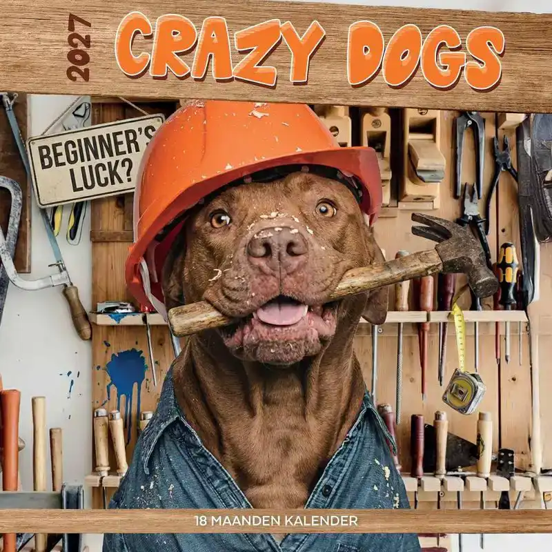 Kalender 2027: funniest dogs