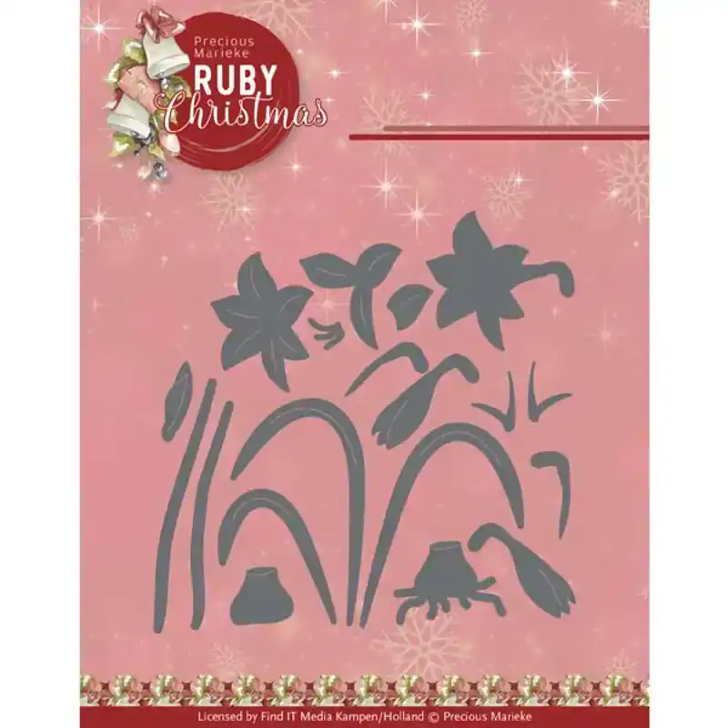 PM Ruby Christmas snijmal Ruby amaryllis