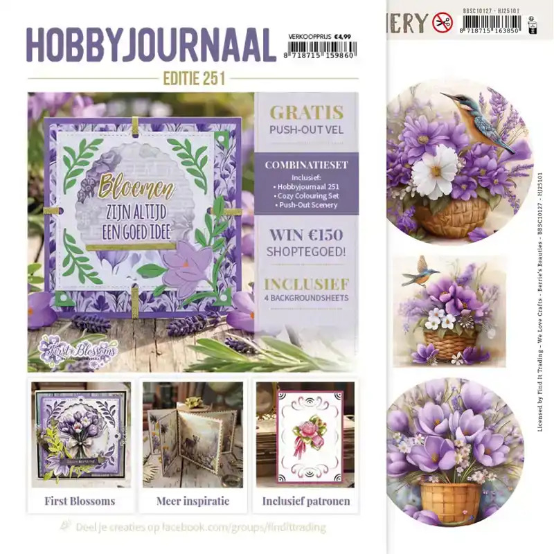 Hobbyjournaal 251