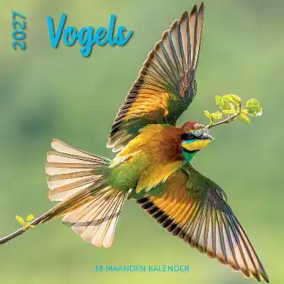 Kalender 2027: vogels