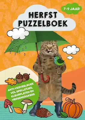 Herfstpuzzelboek