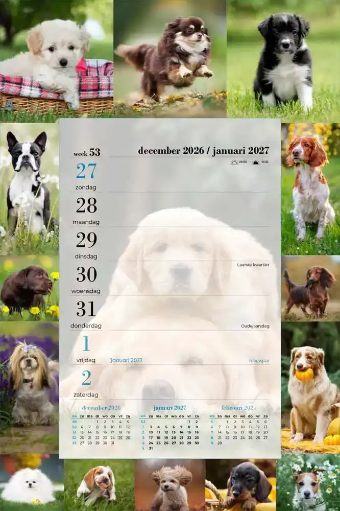 Weekblok honden 2027