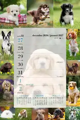 Weekblok honden 2027