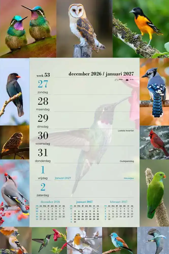 Weekblok vogels  2027