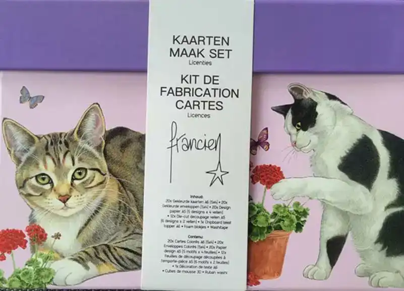 Kaarten maak set Francien Paars met roze box