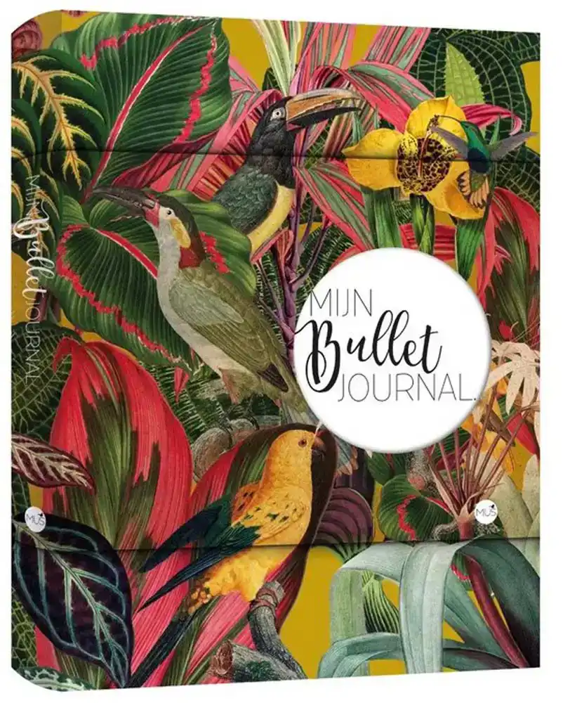 Bullet journal budget