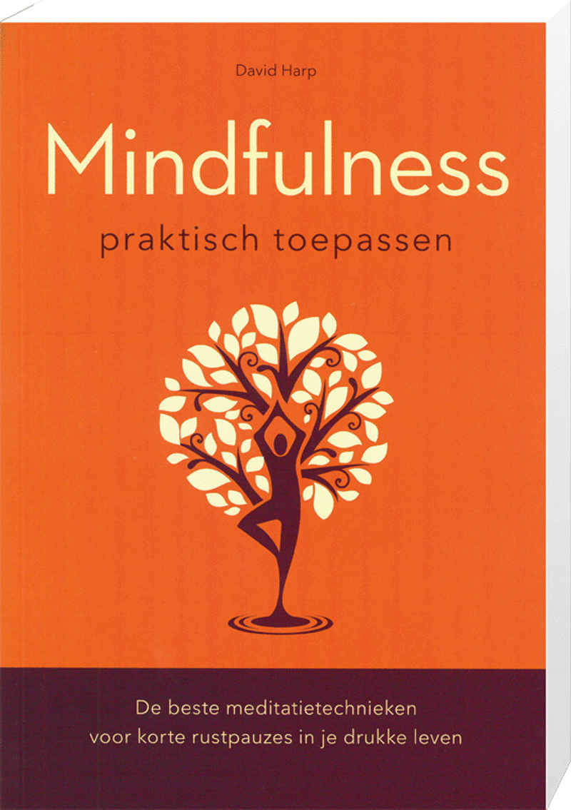 Mindfulness Praktisch Toepassen