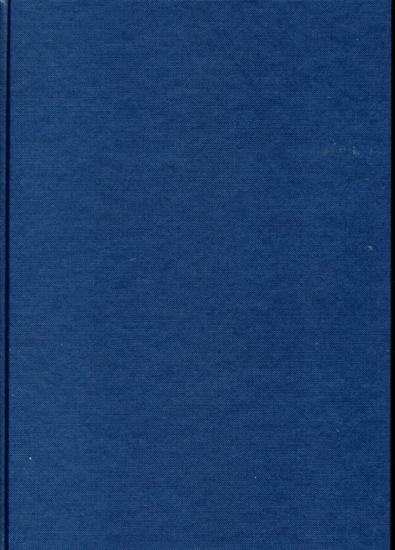 Dummie A4 Blauw