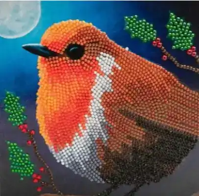 Crystal card kit XM104 Robin