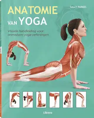 Anatomie van Yoga