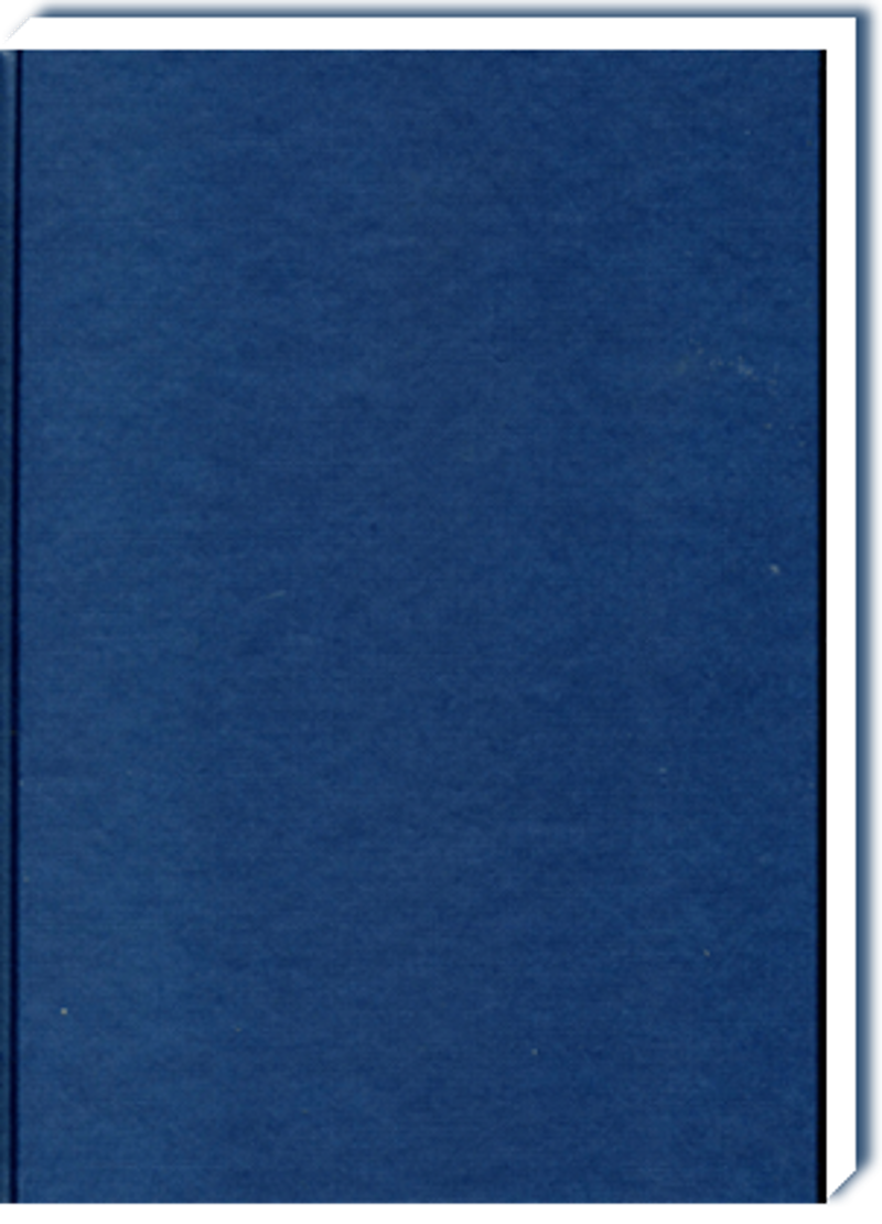 Dummie A4 Blauw