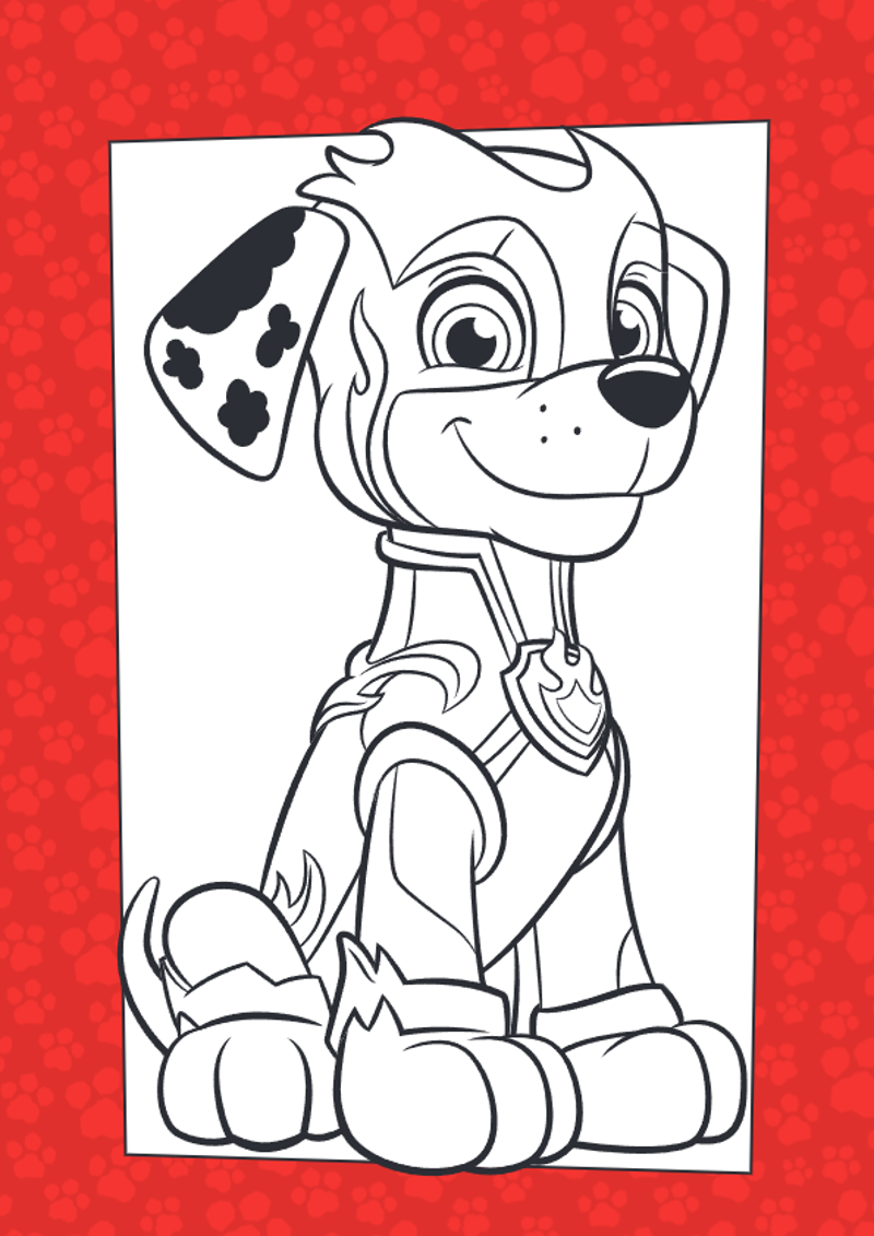 Kleur mee met Paw Patrol