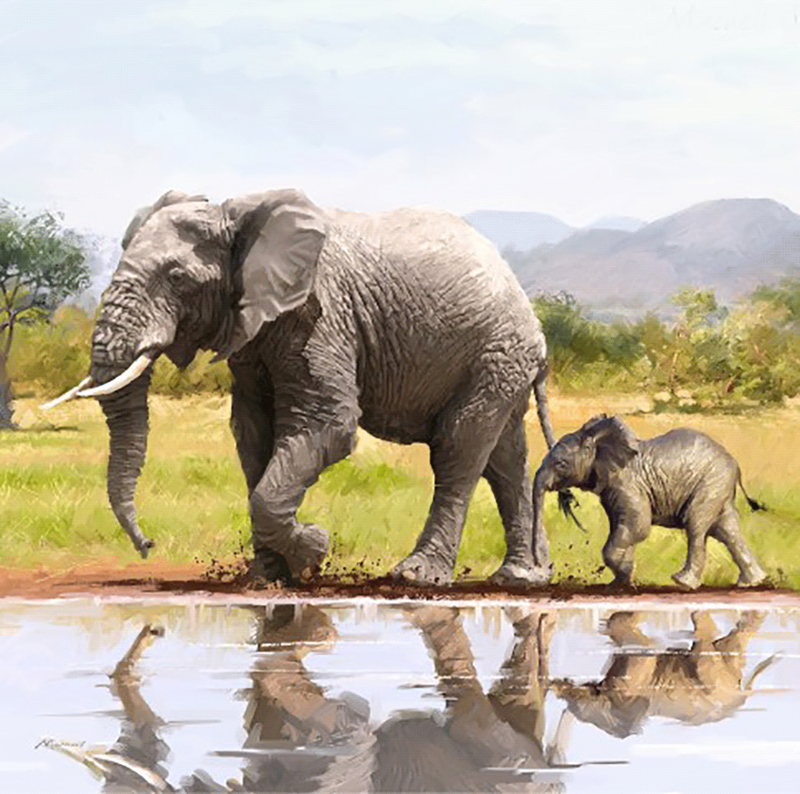 Crystal Card kit A51 elephants 18x18cm