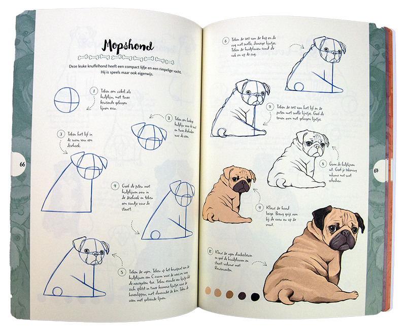 Honden tekenen in 10 stappen