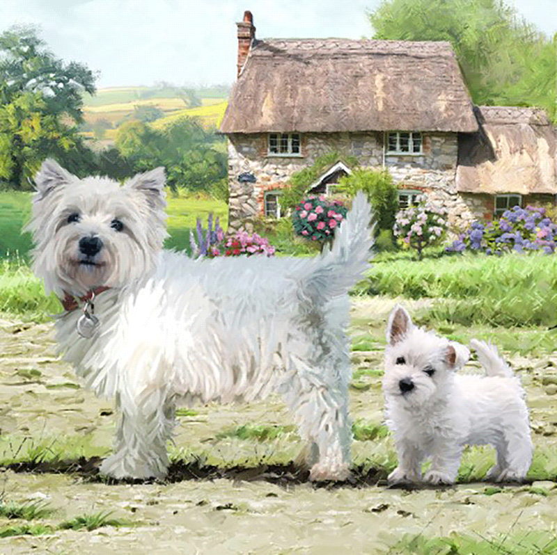 Crystal Card kit A52 westie 18x18cm