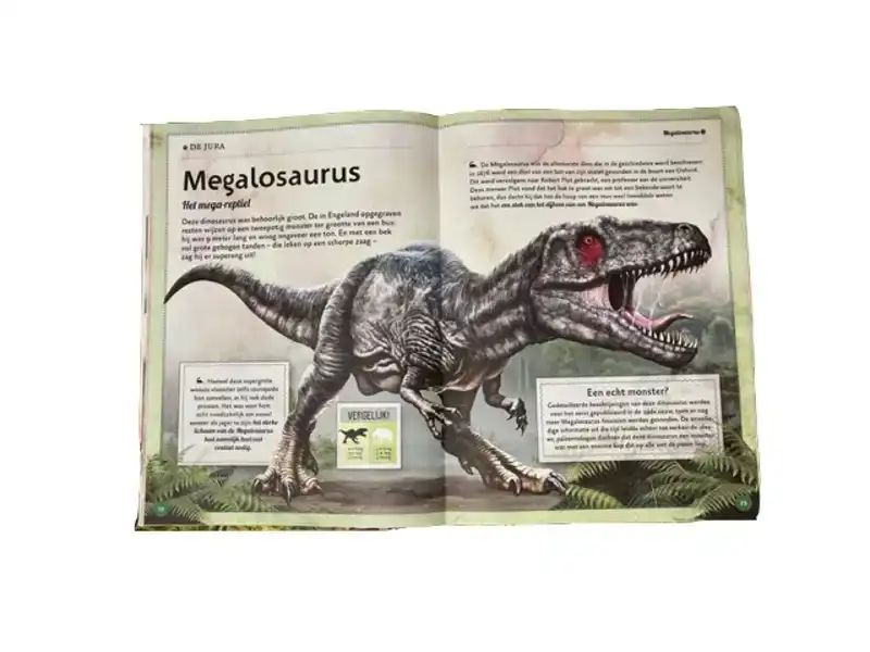 Het fascinerende boek over Dinosauriers
