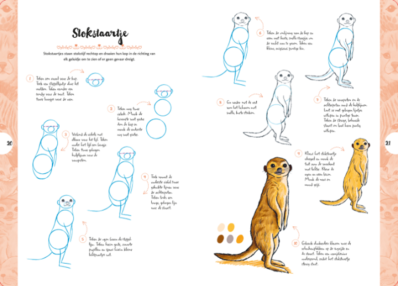 Schattige dieren - tekenen in 10 stappen