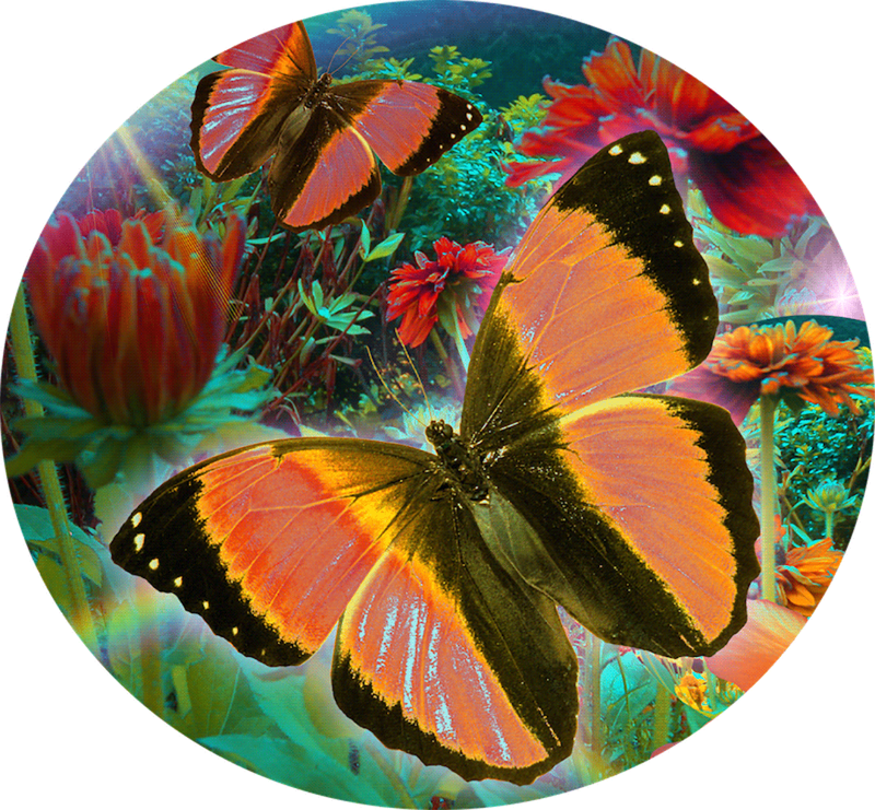 Crystal art clock butterfly partial