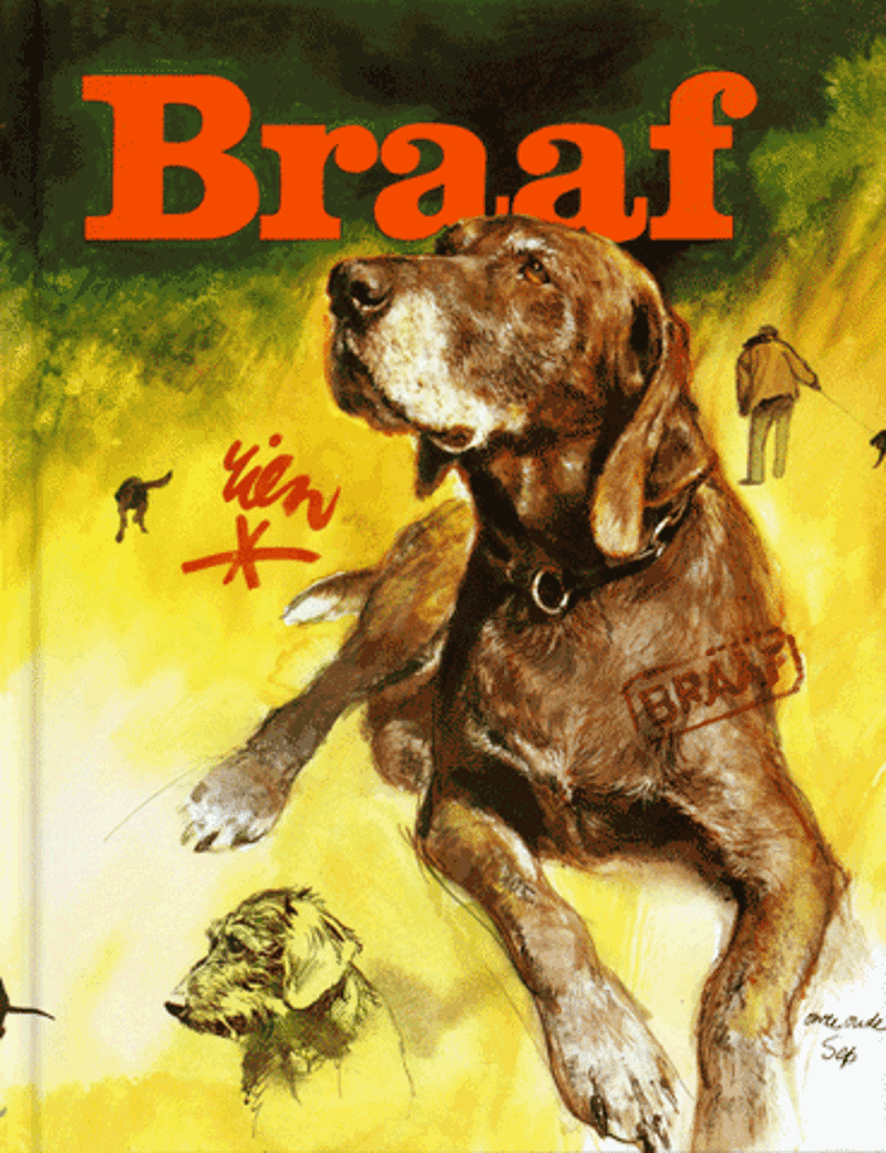 Braaf