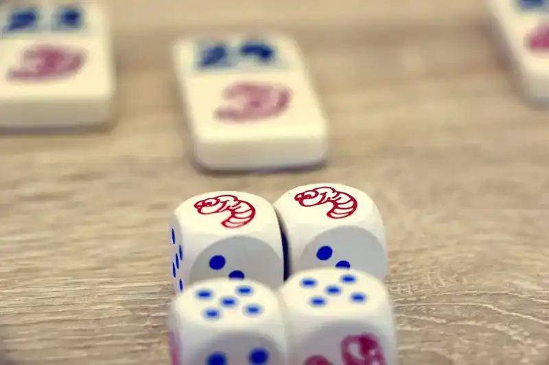 Regenwormen (spel)