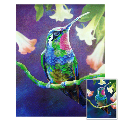 Craft Artist Diamond Art kolibrie vogel