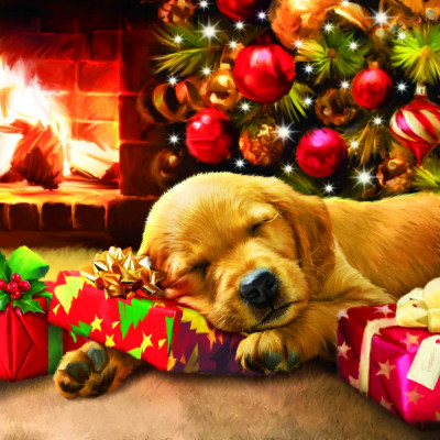 Exclusieve Crystal Card Kit Puppy onder de kerstboom