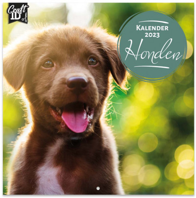 Kalender 2023: Honden