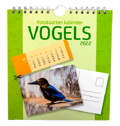 Postkaarten kalender 2022 Vogels