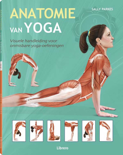 Anatomie van Yoga