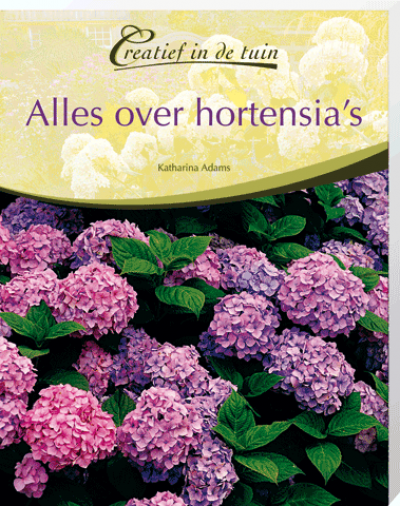 Creatief in de Tuin Alles over Hortensia's