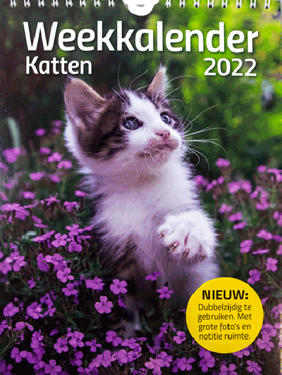 Weekkalender Katten 2022