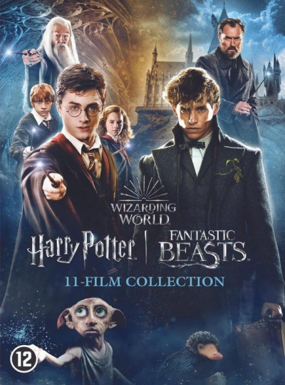 Harry Potter - 1 - 7.2 Collection + Fantastic Beasts 1 - 3 - DVD