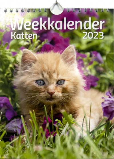 Weekkalender 2023 Katten
