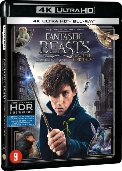 Fantastic Beasts And Where To Find Them - UHD