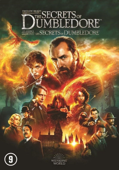 Fantastic Beasts - The Secrets Of Dumbledore - DVD