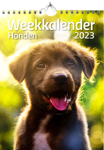 Weekkalender 2023 Honden