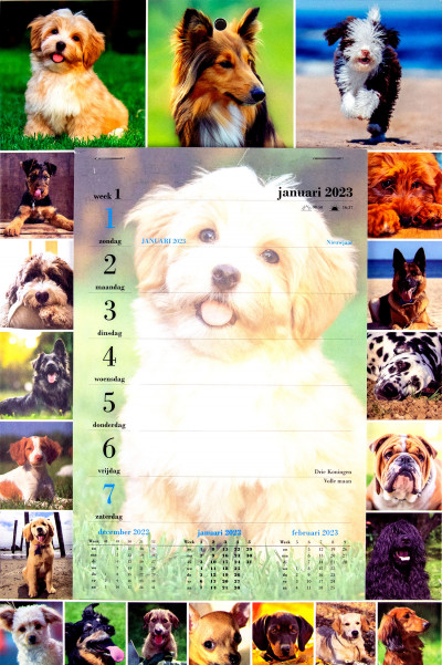 Weekblok kalender 2023 Honden