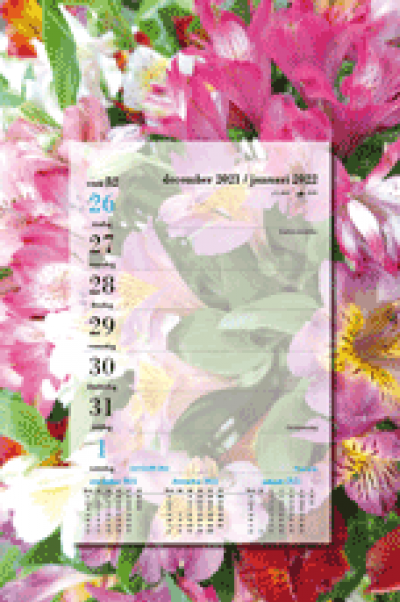 Weekblok kalender 2022 tulpen